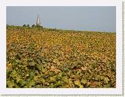 2004-10-24_15-02-23_Octobre_200,0mm_1_200_eme_DiMAGE A2 * 2080 x 1560 * (1.75MB)